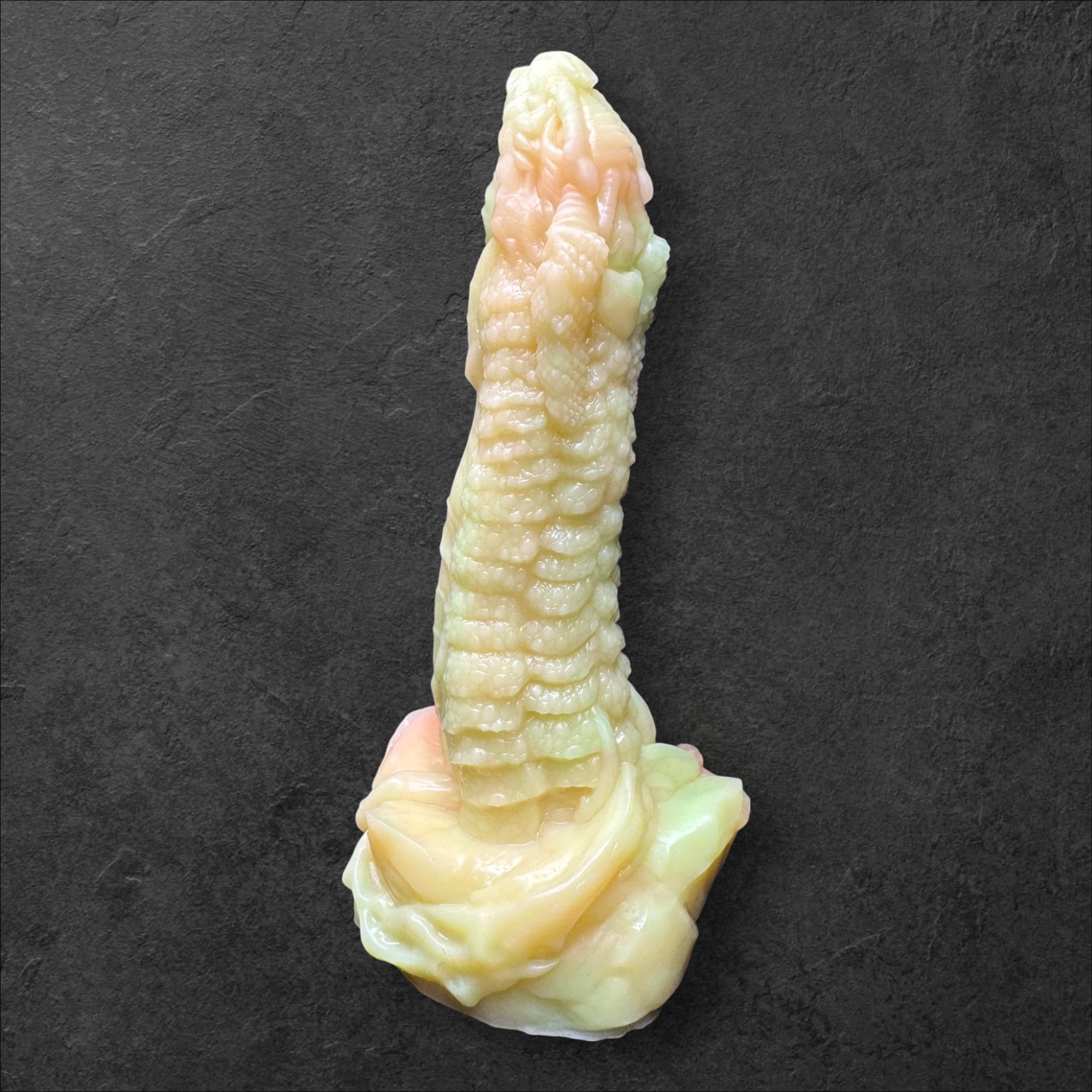 Madre de Dragones Pequeño Firmeza Medio