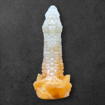 Pack Sangre de Dragona