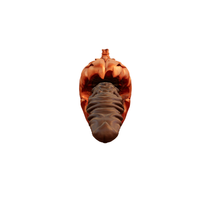 Gloomkin Fantasy Dildo by ClimaxLab. Halloween Pumpkin Base with Ribbed Tongue Texture. Handcrafted Platinum Silicone Toy.